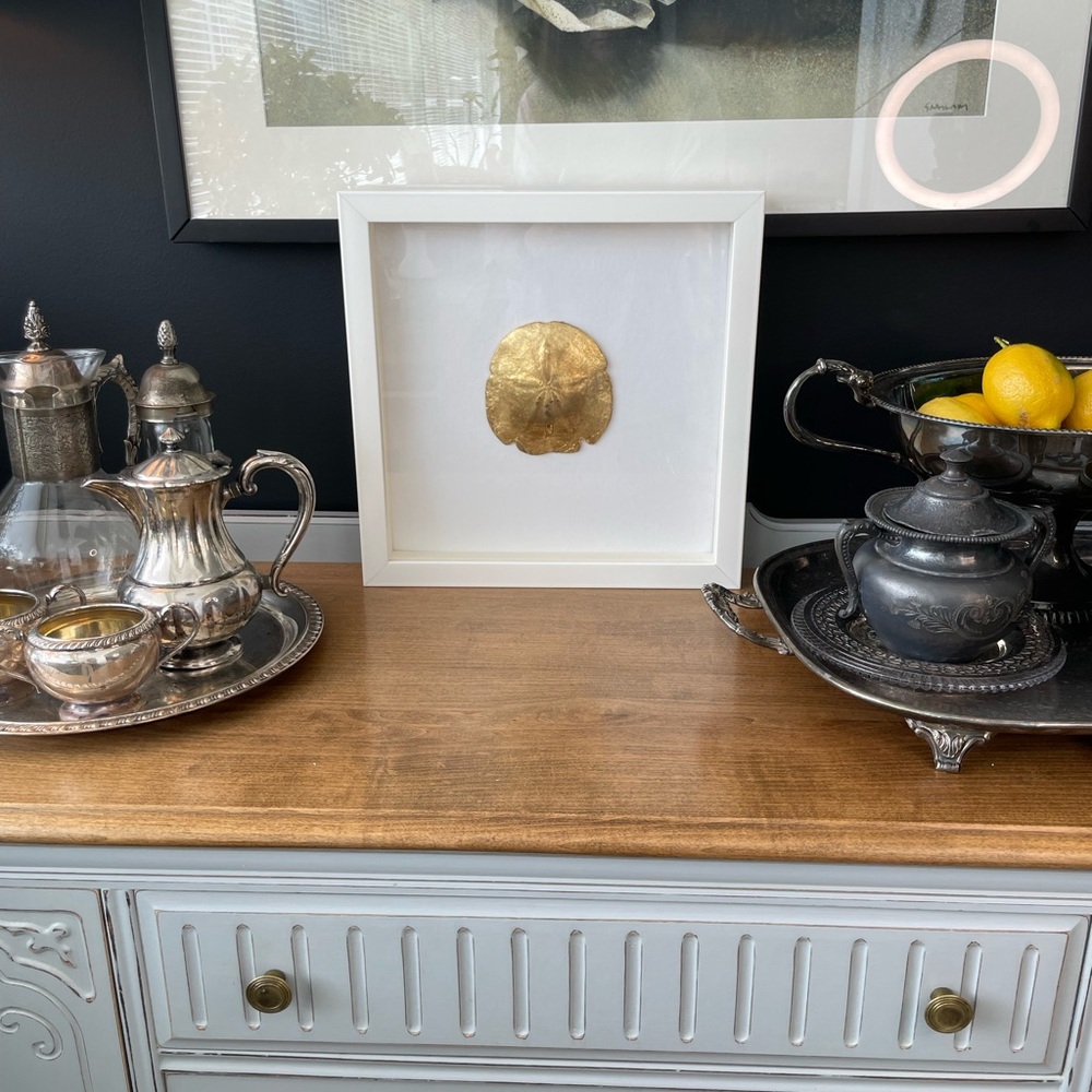 Shadow Boxed Gilt Sand Dollar White Wooden Frame EUC - Picture 2 of 6